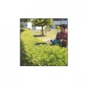 TAGLIASIEPI UH6570 MAKITA