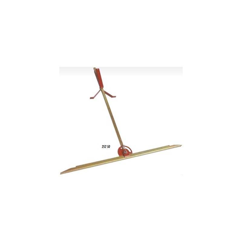 Raimondi Diagonal 50